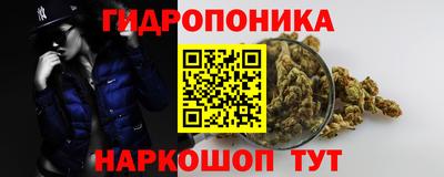 ECSTASY Сланцы