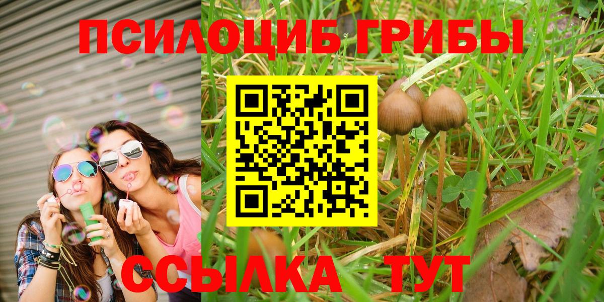 Псилоцибиновые грибы мицелий Прохладный