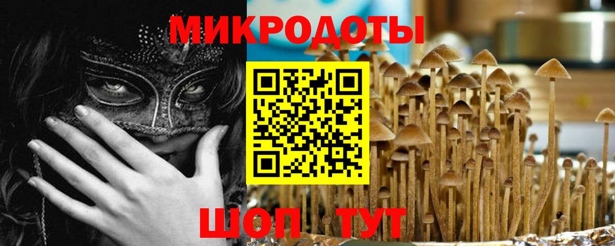 Галлюциногенные грибы GOLDEN TEACHER  Вход с VPN  Прохладный 